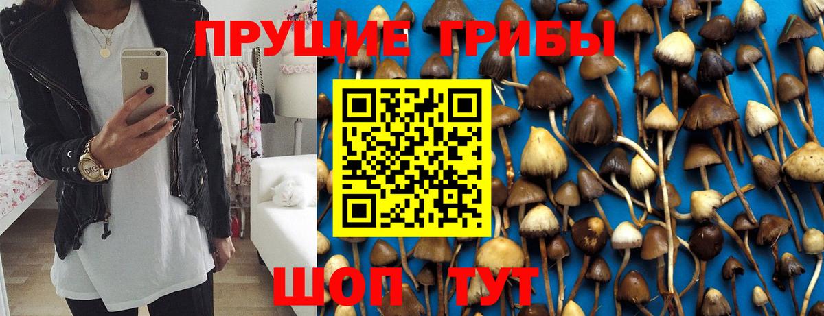 ГАШИШ Торжок