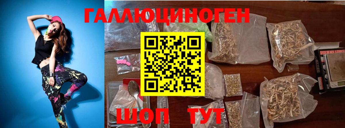 Псилоцибиновые грибы Cubensis  Вход с VPN  Псилоцибиновые грибы Cubensis  Торжок 